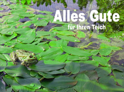 Gutschein Bild 1 