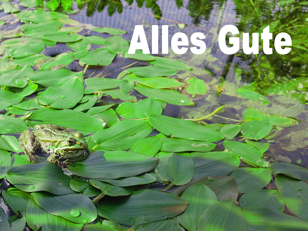 Gutschein Bild 1 