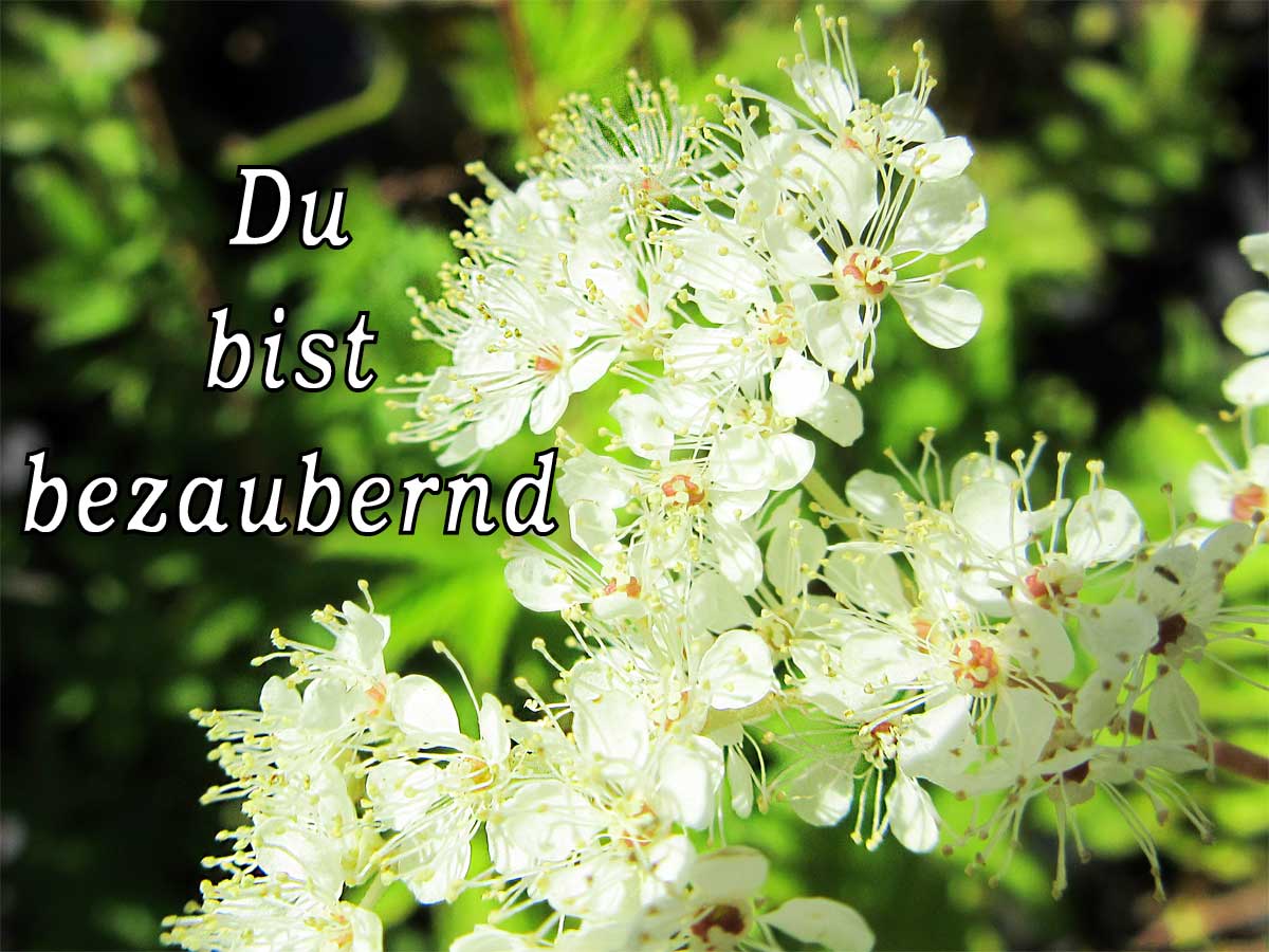 Gutschein Bild 4 