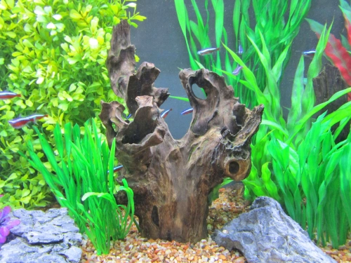 Barico Wurzel für Aquarien und Teiche im Aquarium