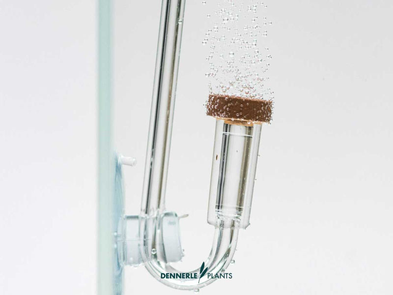 Preview: Aqaurien CO2 Diffuser