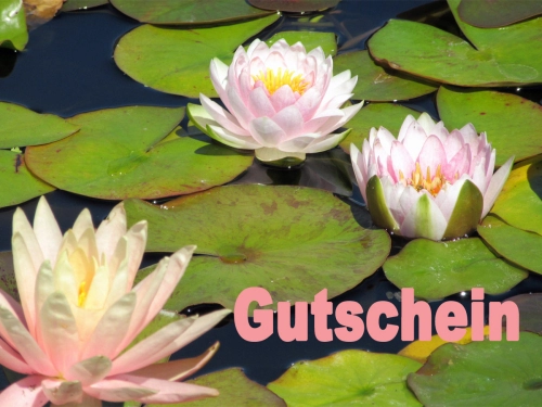 Gutschein 20 €