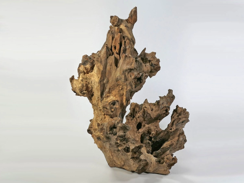 Barico Wurzel für Aquarien und Teiche 5