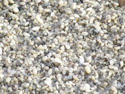 Teichkies von Weitem mit Nahansicht in der Ecke